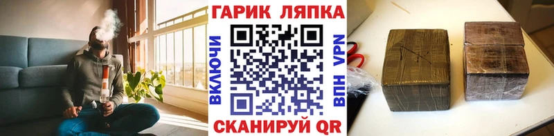 Купить где  Фёдоровский  ГАШИШ Ice-O-Lator 