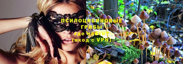 прущие крисы Карпинск