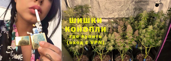 прущие крисы Карпинск