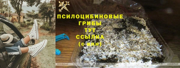 метадон Касимов