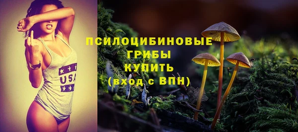 прущие крисы Карпинск