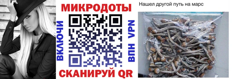Галлюциногенные грибы мухоморы  Купить где  Фёдоровский 